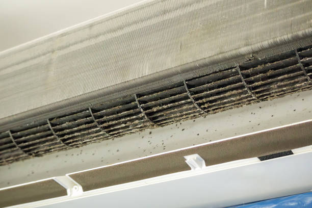 Best Home Air Vent Cleaning  in East Shoreham, NY